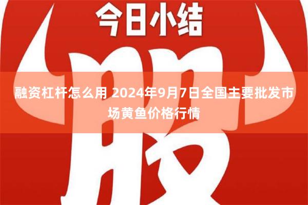 融资杠杆怎么用 2024年9月7日全国主要批发市场黄鱼价格行情