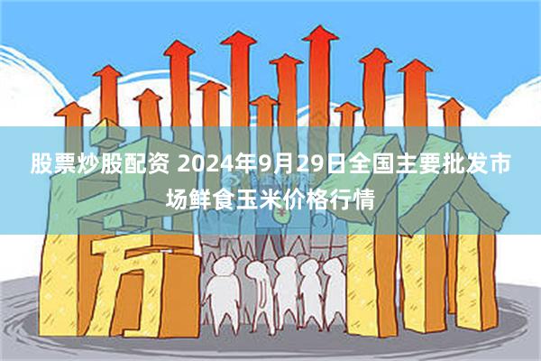 股票炒股配资 2024年9月29日全国主要批发市场鲜食玉米价格行情