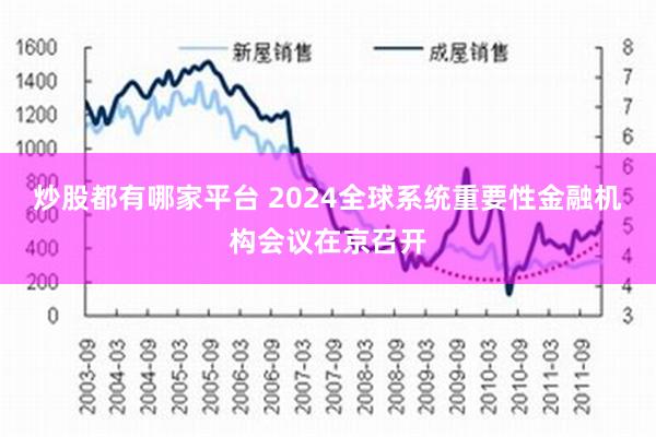 炒股都有哪家平台 2024全球系统重要性金融机构会议在京召开