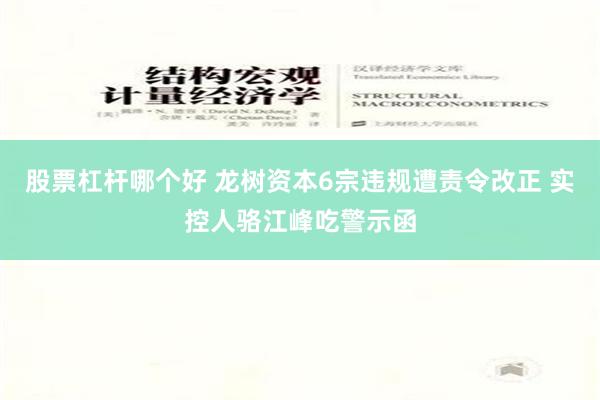 股票杠杆哪个好 龙树资本6宗违规遭责令改正 实控人骆江峰吃警示函