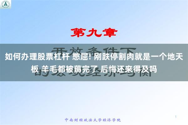 如何办理股票杠杆 憋屈! 刚跌停割肉就是一个地天板 羊毛都被薅完了 后悔还来得及吗