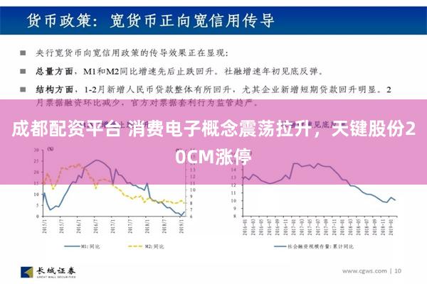 成都配资平台 消费电子概念震荡拉升，天键股份20CM涨停