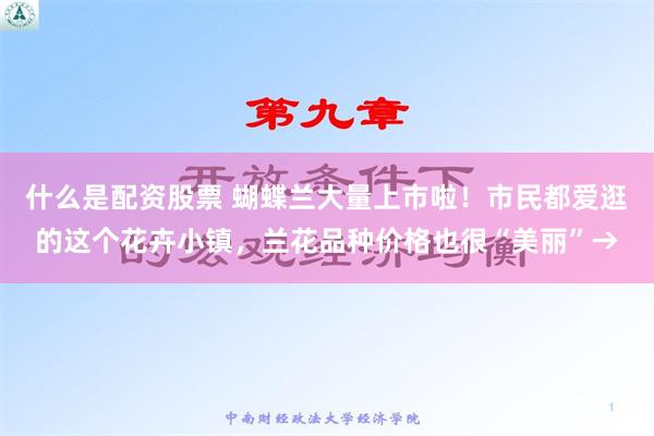 什么是配资股票 蝴蝶兰大量上市啦！市民都爱逛的这个花卉小镇，兰花品种价格也很“美丽”→