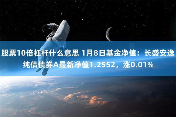 股票10倍杠杆什么意思 1月8日基金净值：长盛安逸纯债债券A最新净值1.2552，涨0.01%