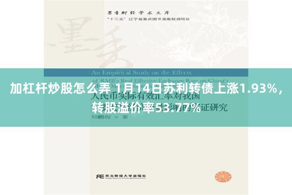 加杠杆炒股怎么弄 1月14日苏利转债上涨1.93%，转股溢价率53.77%